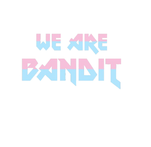 we are bandit